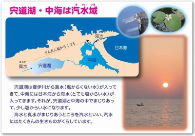 パネル見本９