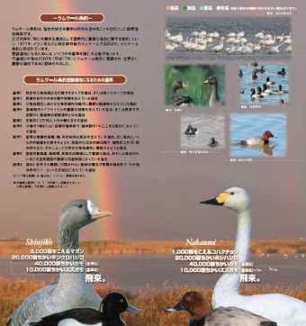 探鳥マップ２ページ目