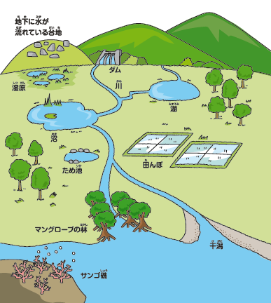 湿地とは