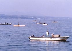 宍道湖のしじみ漁