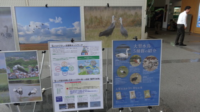パネル展示の様子３