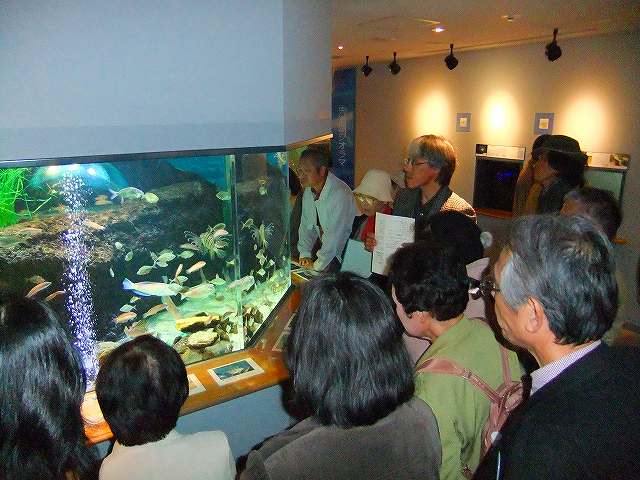 宍道湖自然館ｺﾞﾋﾞｳｽの様子２