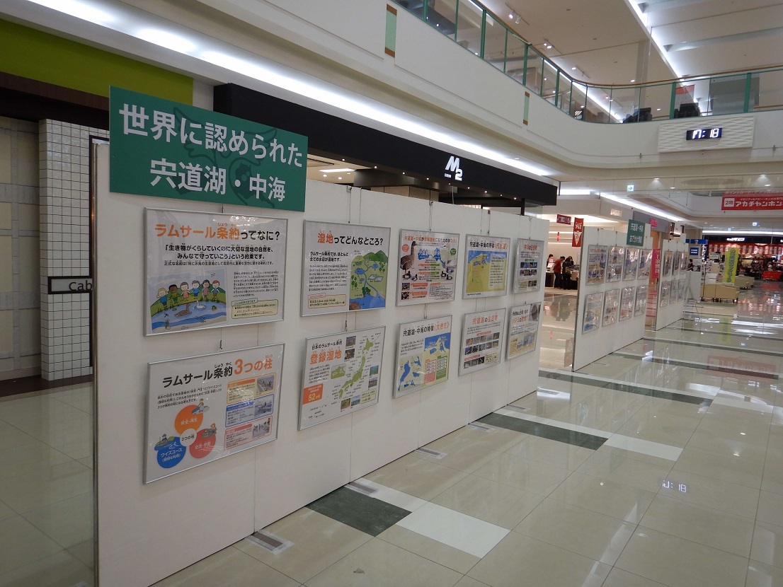ゆめタウン出雲展示風景