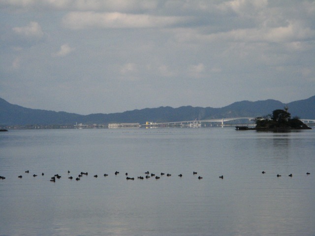 江島大橋