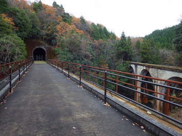 第一下府川橋梁と４連アーチ橋