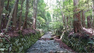 鈴ノ大谷線の写真です