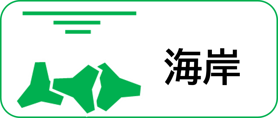 海岸事業紹介