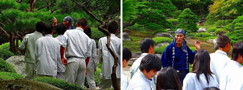 造園作業の見学