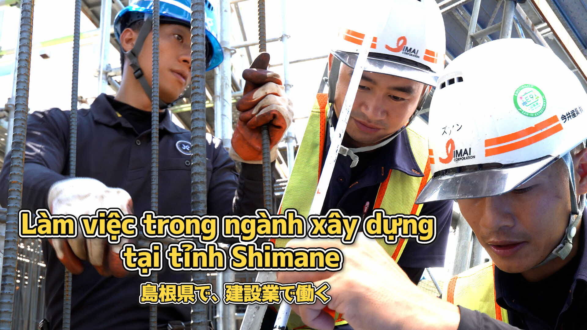 動画のサムネイル画像