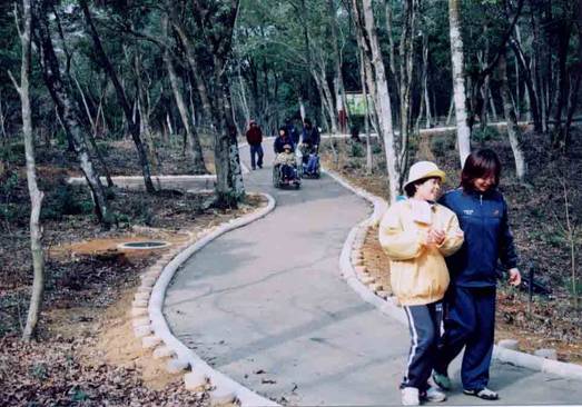 間伐材を利用した公園遊歩道縁木完成写真