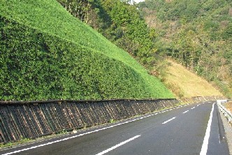 丸太法面伏工完成写真