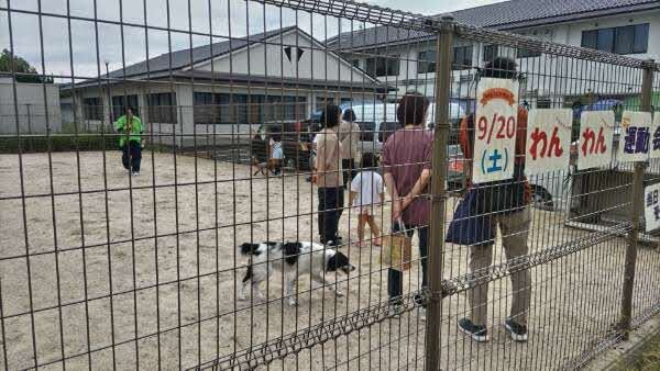 わんわん運動会