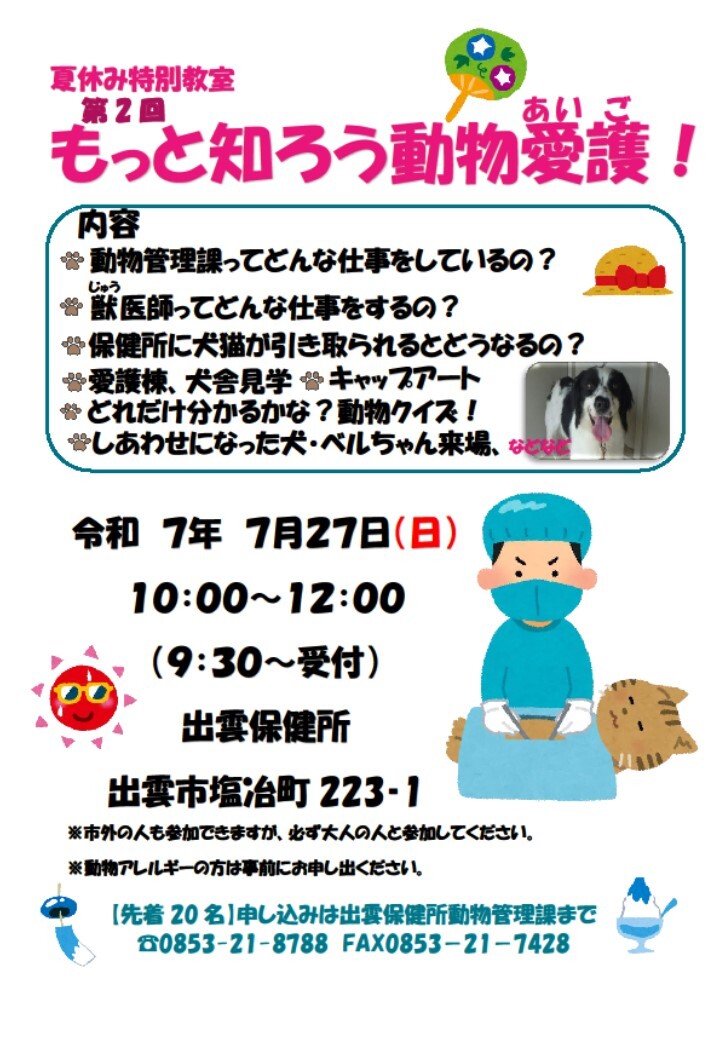 チラシ