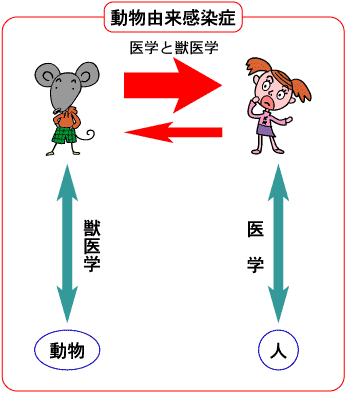 動物由来感染症のイメージ