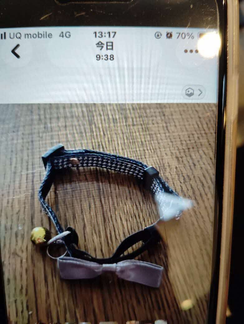 猫の首輪