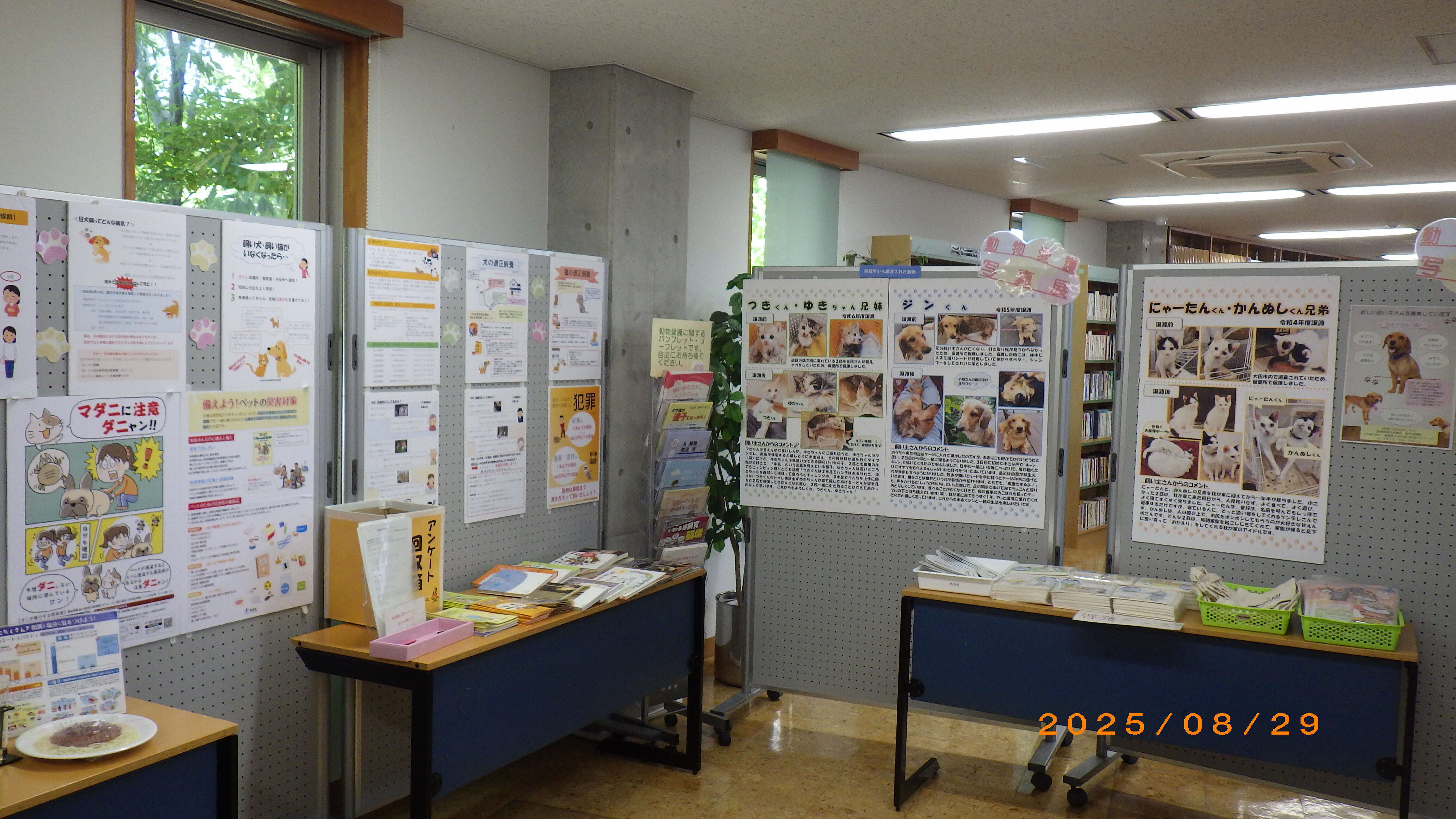 写真２