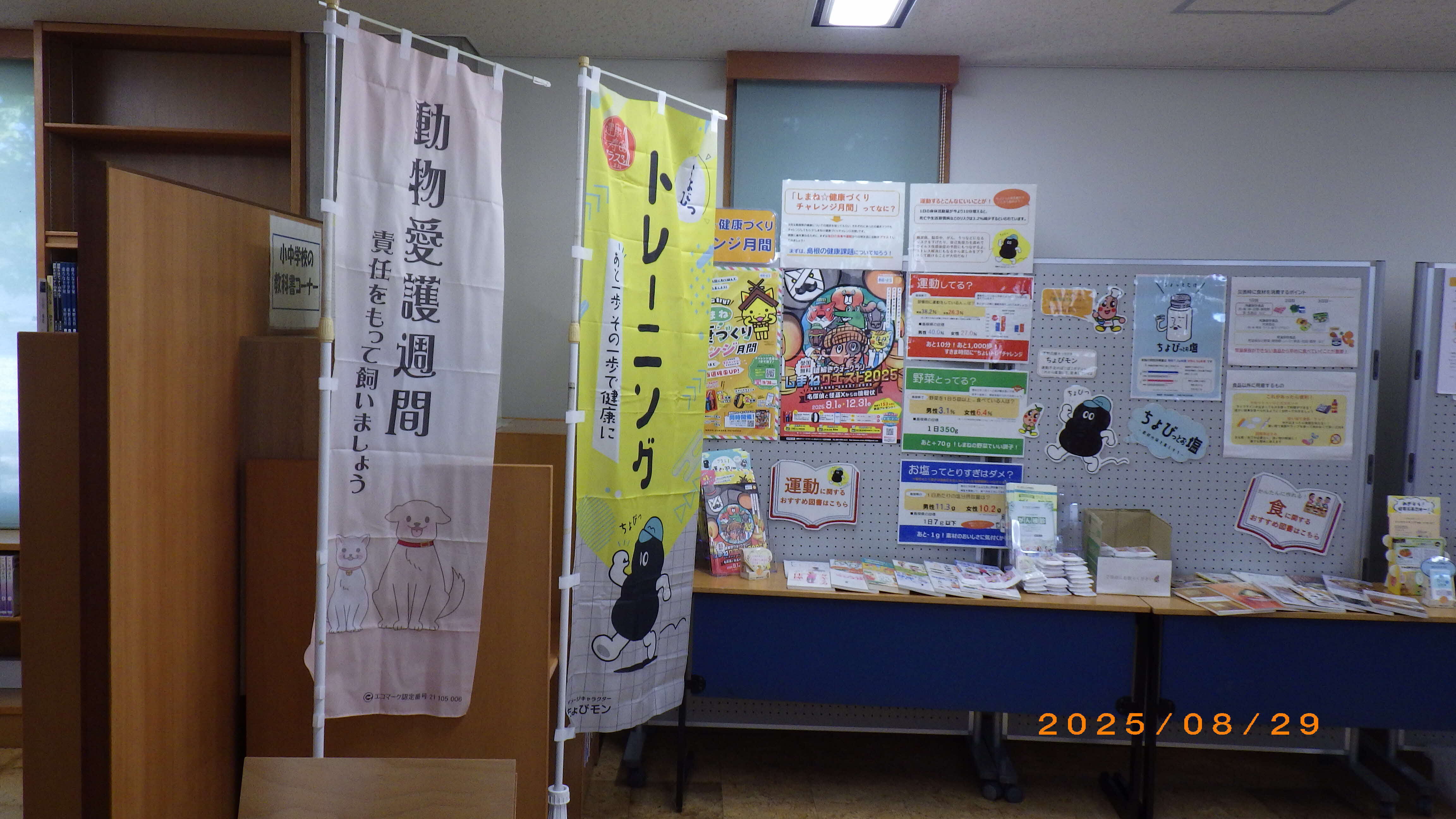 写真１