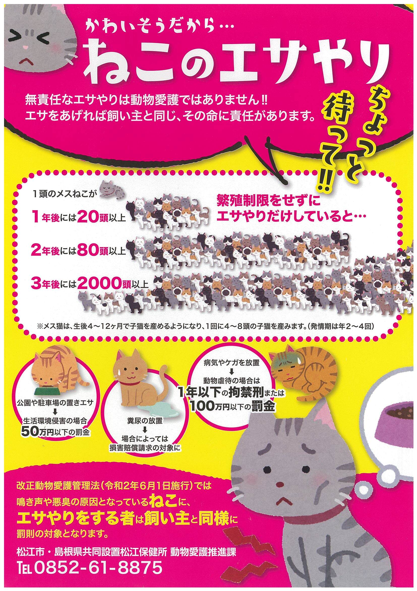 かわいそうだから・・・ねこのエサやりちょっと待って