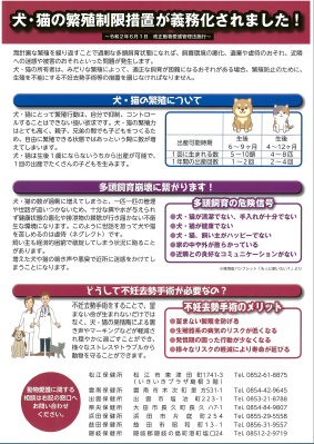 あなたは大丈夫ですか？犬・猫の多頭飼育崩壊_裏