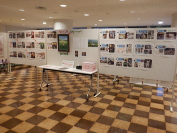 しあわせになった犬猫たち展示