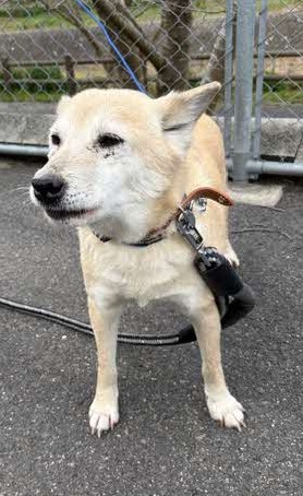 しーちゃん