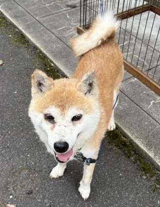 うめちゃん