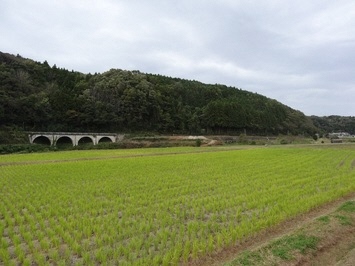 まぼろしの広浜鉄道「今福線」その１