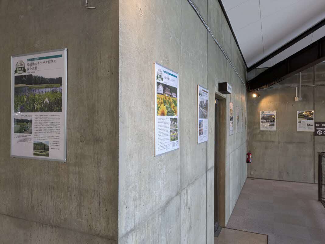 展示の様子2