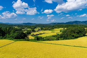 櫻井家