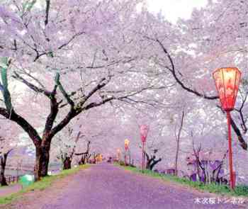 木次桜トンネル