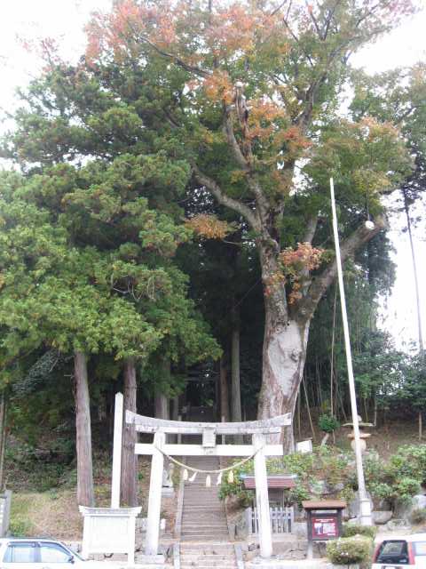 湯野神社入り口と大ケヤキ