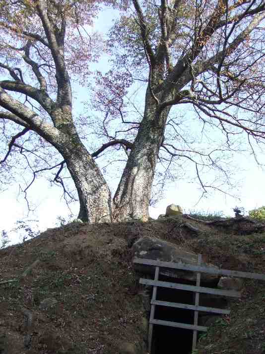 放れ山古墳