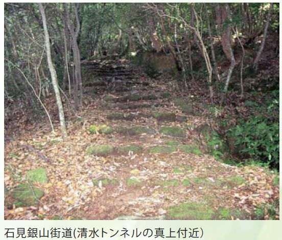 石見銀山街道(清水トンネルの真上付近）写真