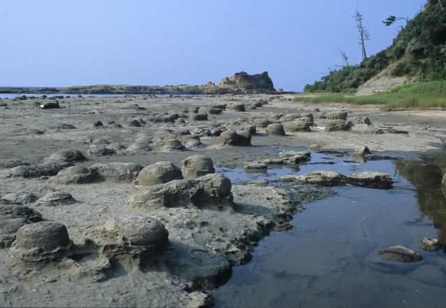 こぶ城のノジュールが並ぶ畳ヶ浦海岸