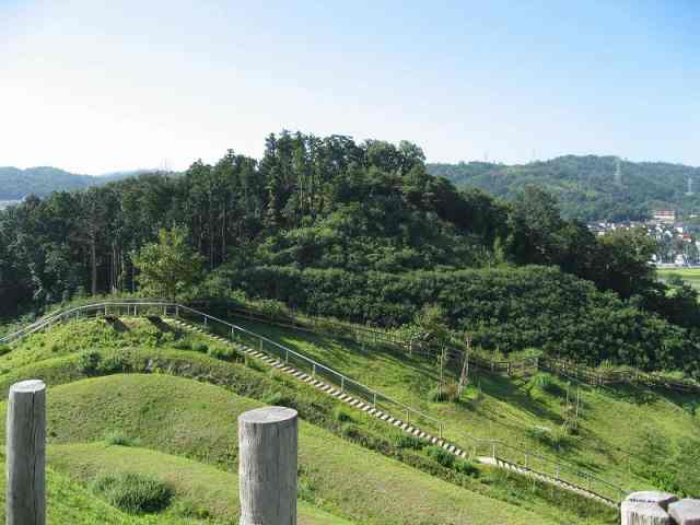 田和山の森