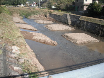 堆積土除去１