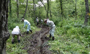 水路の付け替え作業１