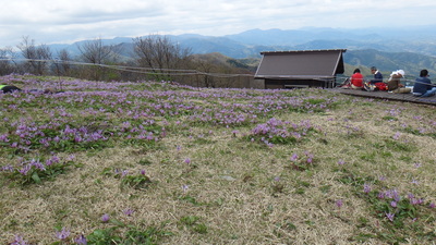 頂上東屋