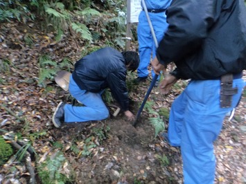 石の除去