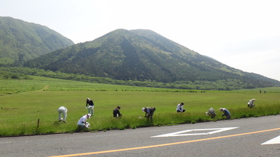 北の原裾野作業開始