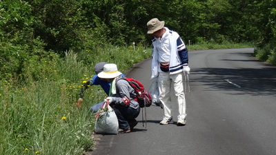 帰ってきながらブタナの除去