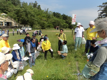 ブタナの除去について説明