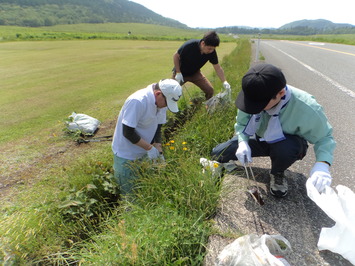 根こそぎ除去