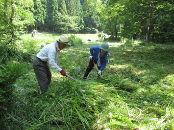 草集め