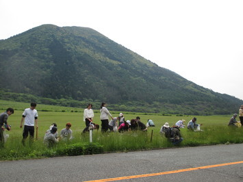 三瓶山バックにブタナ抜き