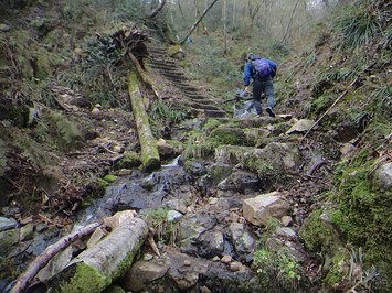 亀石コース登山２