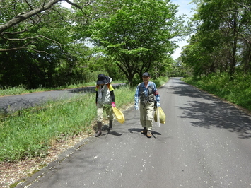 お手植えの松コース１