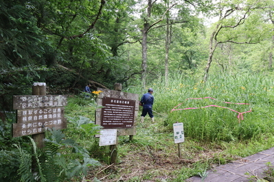 作業前の赤名湿地入り口