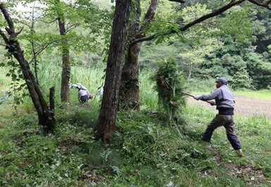 木の周りに草を集めます