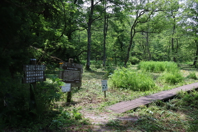 作業後の赤名湿地入り口